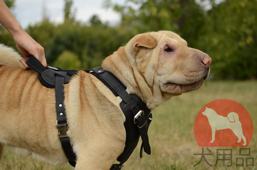 大型犬　ハーネス　頑丈