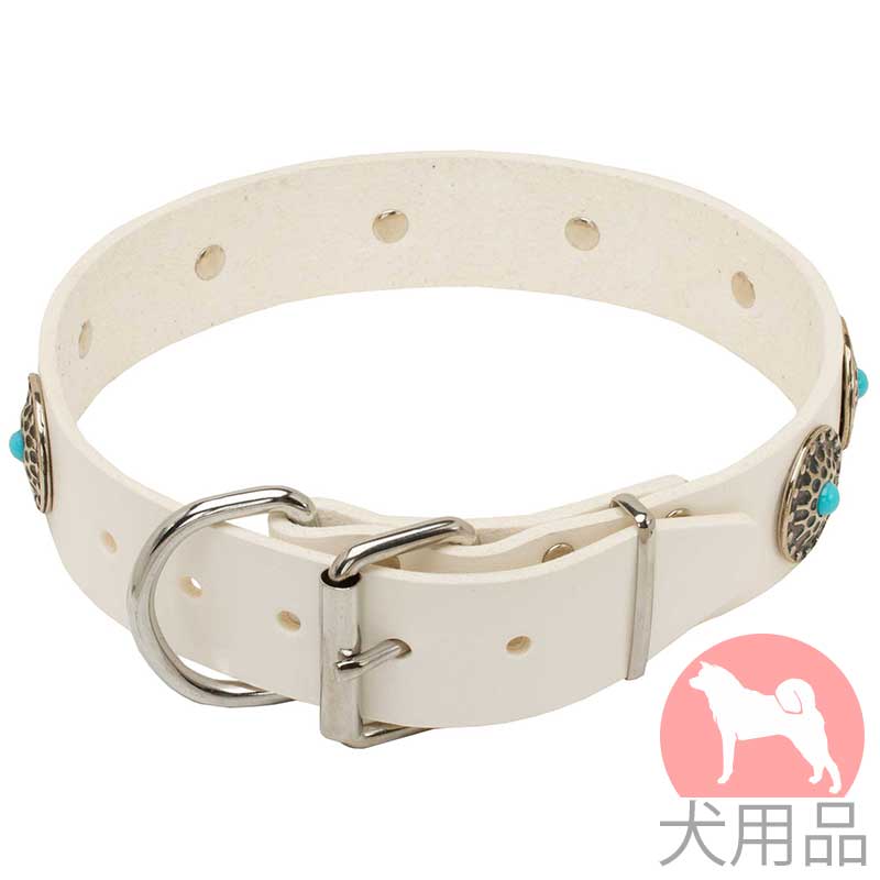 犬の首輪 ターコイズスタッズ付白革首輪 79