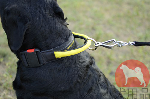 大型犬用首輪　海外