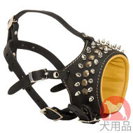 日常用散歩　口輪