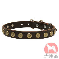 丸型スタッズ付き犬 首輪(25mm) 丸型スタッズ付き犬 首輪(25mm)