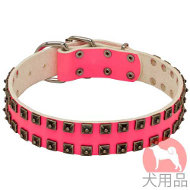 ドット付きスタッズのおしゃれ犬 首輪(40mm,ピンク) ドット付きスタッズのおしゃれ犬 首輪(40mm,ピンク)