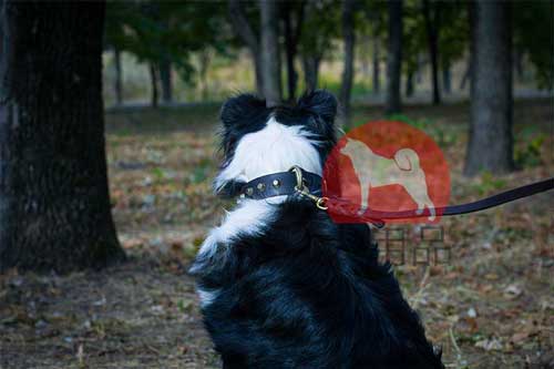 犬　首輪　おしゃれ