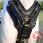 ポインター　ハーネス　革製　柔らかい裏ち付き