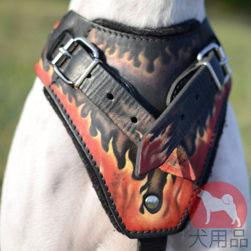 炎の模様付き犬のハーネス 上質な本革製 ポインタの散歩に最適 321