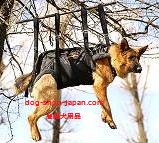 犬　レスキューハーネス