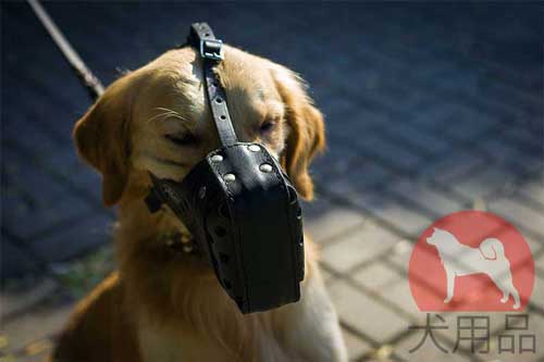 大型犬用口輪