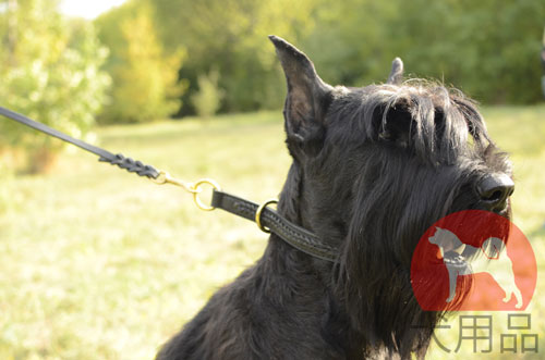 大型犬　チョーク首輪　革