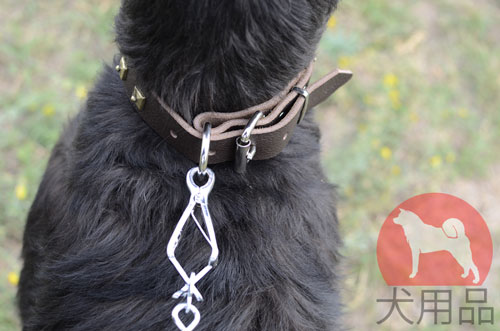 大型犬　首輪　可愛らしい