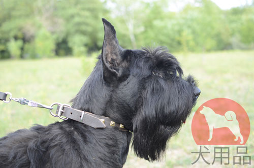 大型犬　首輪　おしゃれ