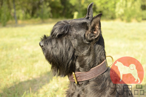 大型犬　首輪 革