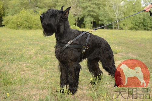 大型犬　ハーネス　革