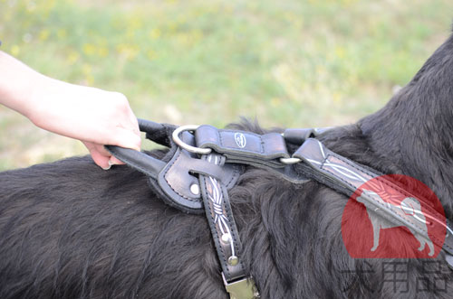 大型犬　ハーネス　ハンドクラフト