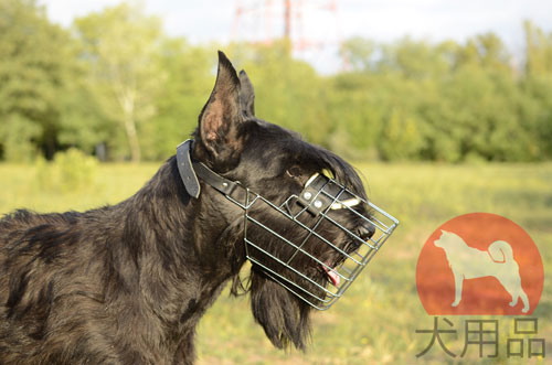 超大型犬　口輪