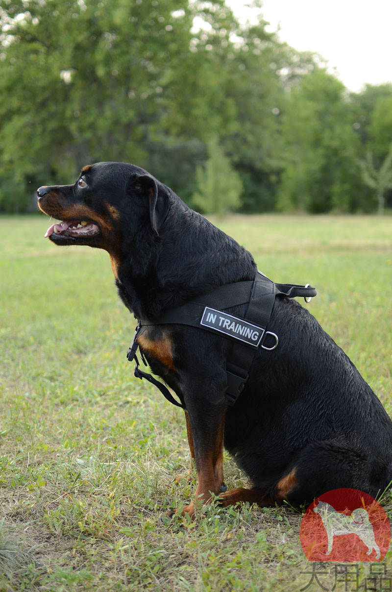 大型犬 引っ張り防止ハーネス 4625 大型犬 引っ張り防止ハーネス 4625