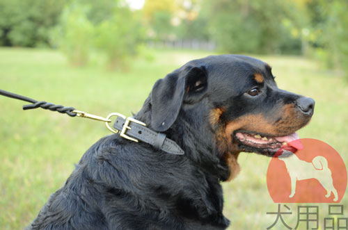 大型犬　首輪　可愛い