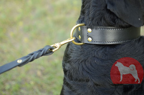 大型犬　首輪　訓練