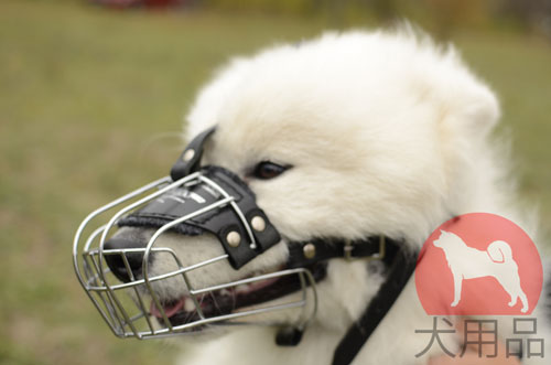 大型犬　口輪