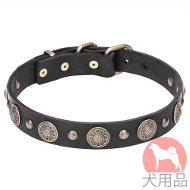 犬 首輪(黄銅製金具) 犬 首輪(黄銅製金具)