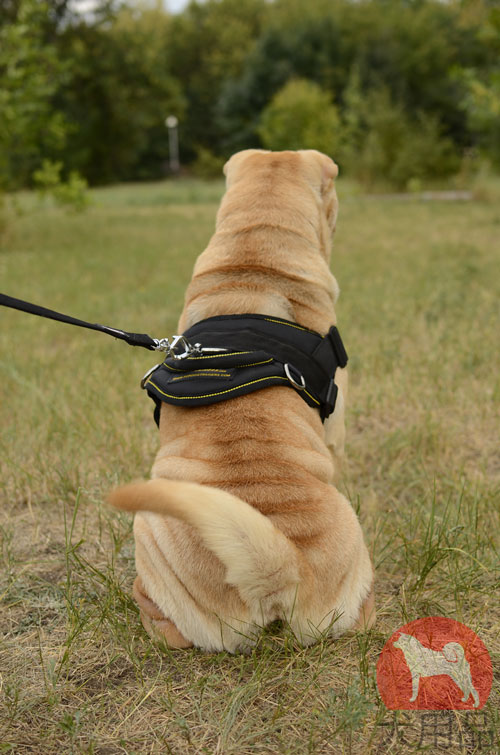 大型犬　ハーネス　アウトドア