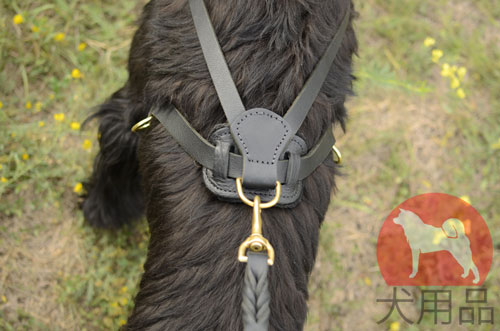 大型犬　重量引くハーネス