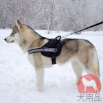 犬 ハーネス ナイロン製 反射テープ付き 犬 ハーネス ナイロン製 反射テープ付き