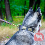 シベリアンハスキーのような大型犬にぴったりあう首輪 かっこいいデザイン シベリアンハスキーのような大型犬にぴったりあう首輪 かっこいいデザイン