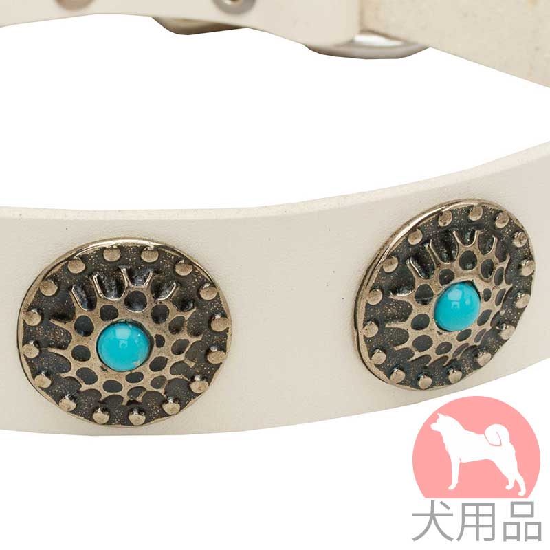 犬の首輪 ターコイズスタッズ付白革首輪 79
