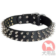 スパイク付大型犬用首輪(40mm、ニッケル)
