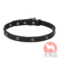 犬 首輪 花柄 犬 首輪 花柄